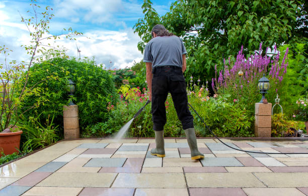 Best Winterizing Services  in North Branch, MN
