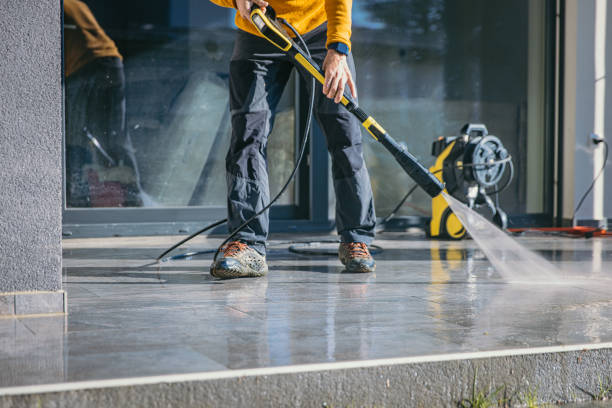 Best Dumpster Area Cleaning  in North Branch, MN