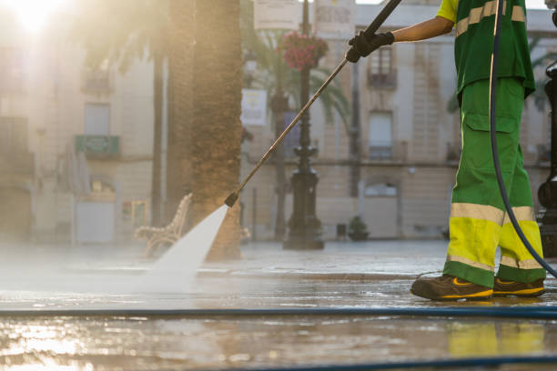Best Sidewalk and Walkway Cleaning  in North Branch, MN